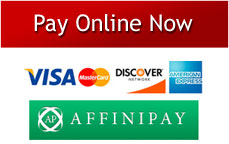 pay online option link